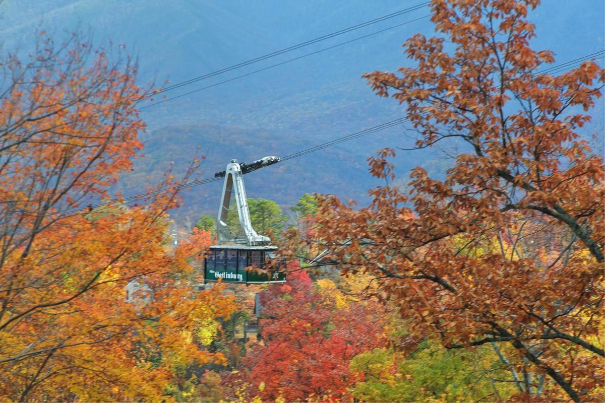 Knotty & Nice Holiday Home Gatlinburg Luaran gambar